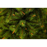 Триумф ель TRIUMPH TREE, Пушистая, 215 см, зеленая 72166
